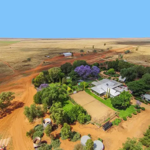 Corynnia Station featured photo