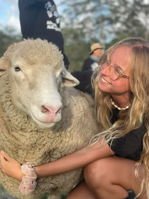 Lucky Stars Sanctuary Inc featured photo