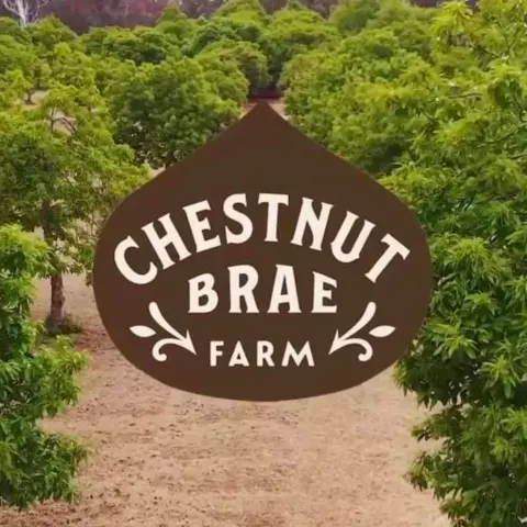 Chestnut Brae featured photo