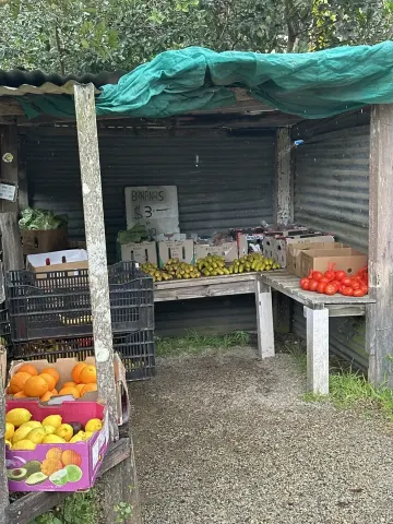 Featured image for Bangalow Fruit and Vegetables