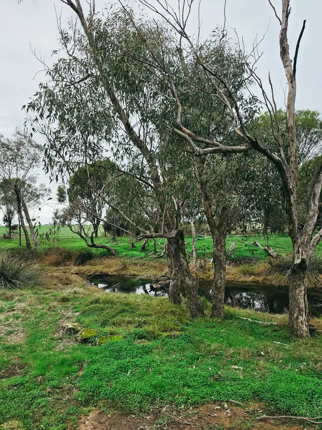 McCabe Farm community photo 5 — image 5