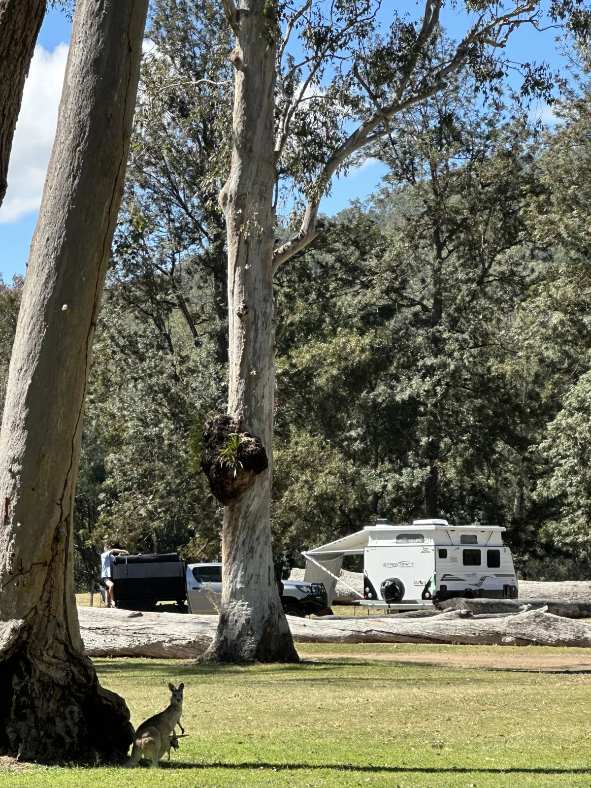 Bigriggen Camping & Caravan Park community photo 2 — image 2