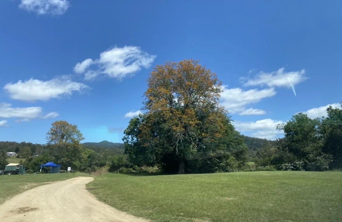 Kenilworth Homestead community photo 7 — image 7