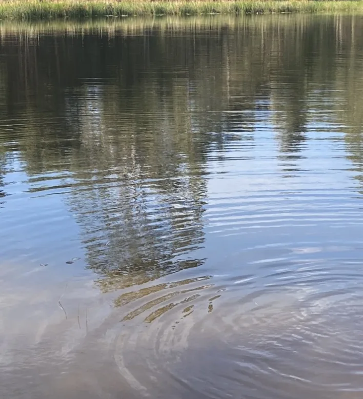 Terralyra Sanctuary community photo 13 — image 13