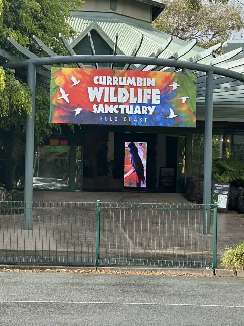 Featured image for Currumbin Wildlife Sanctuary