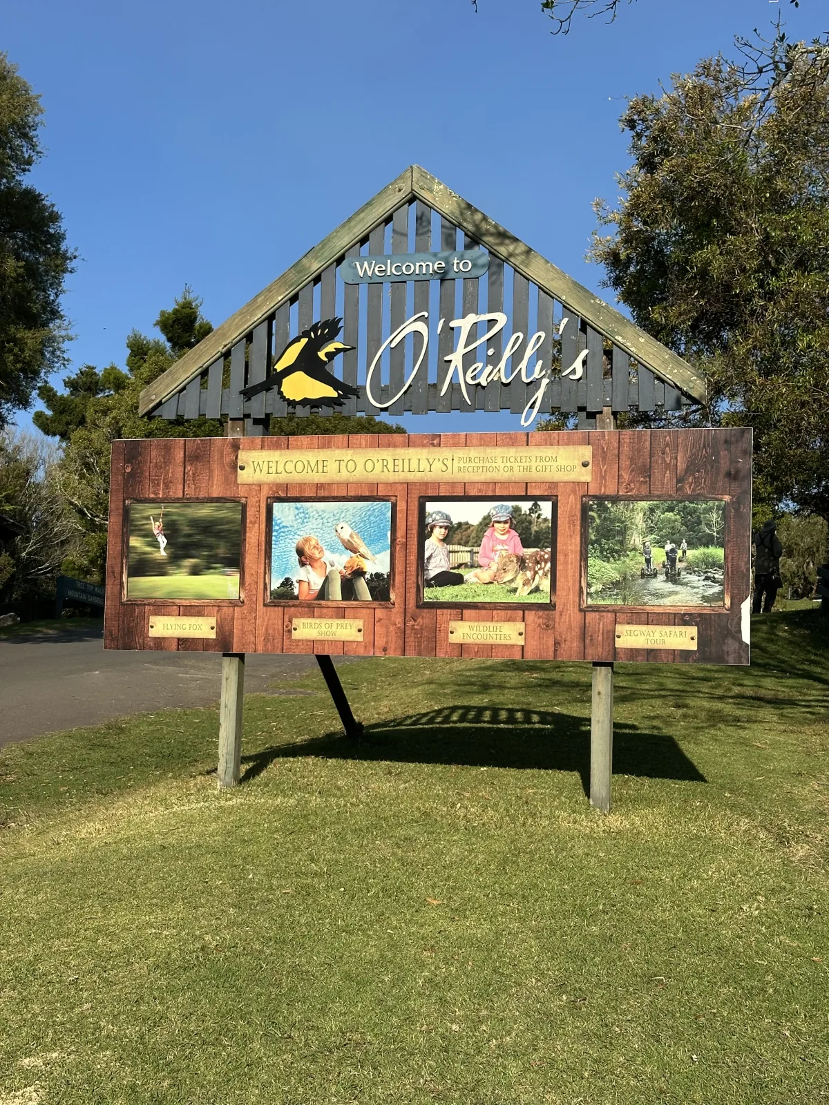 O’Reilly’s Rainforest Retreat community photo 6 — image 6