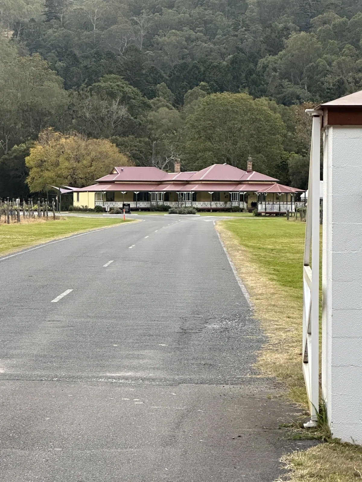O’Reilly’s Canungra Valley Vibeyards community photo — image 1
