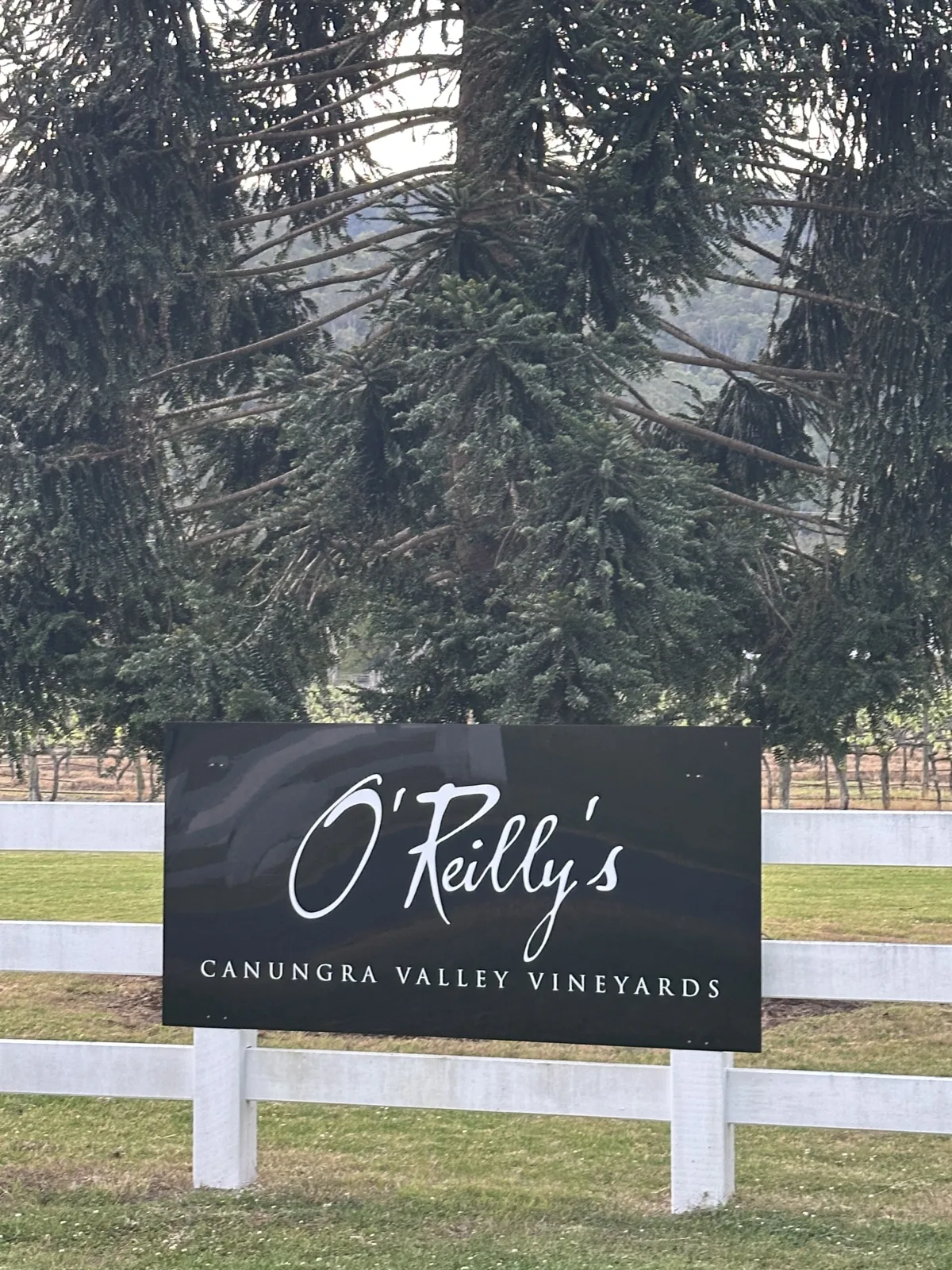 O’Reilly’s Canungra Valley Vibeyards community photo 2 — image 2