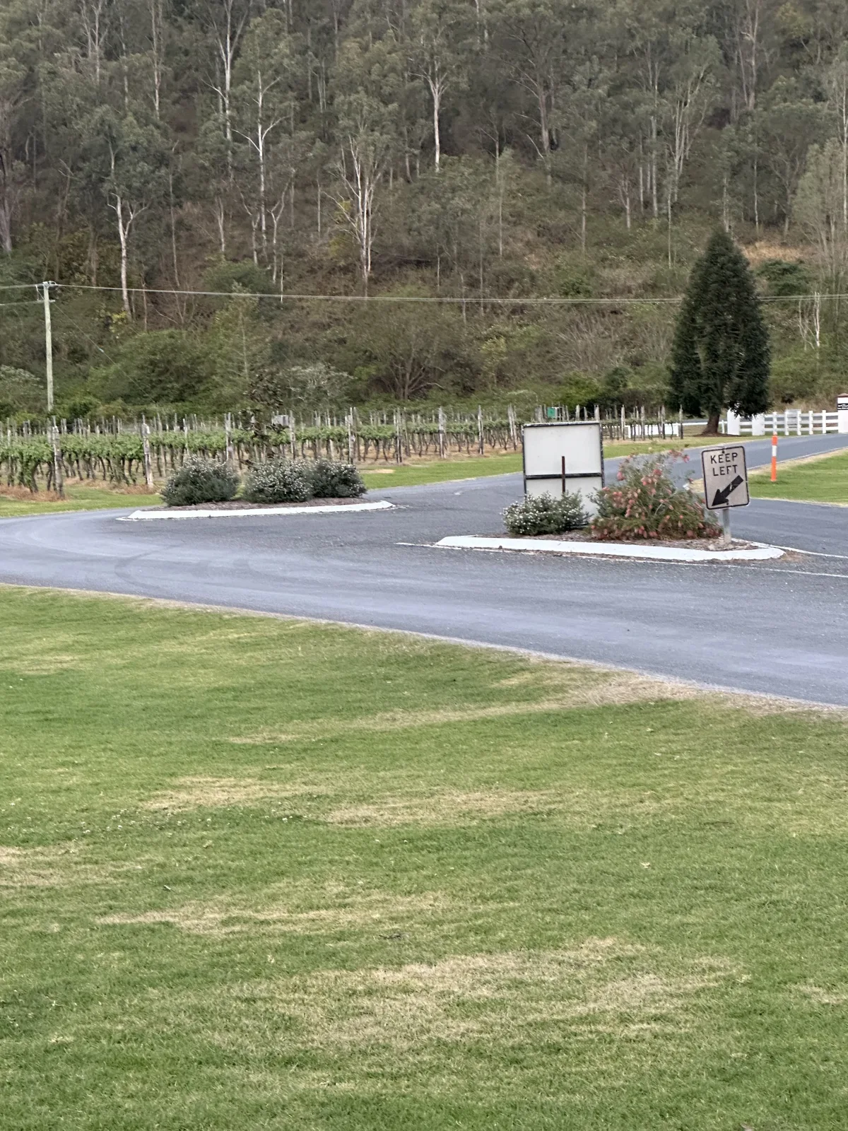 O’Reilly’s Canungra Valley Vibeyards community photo 7 — image 7