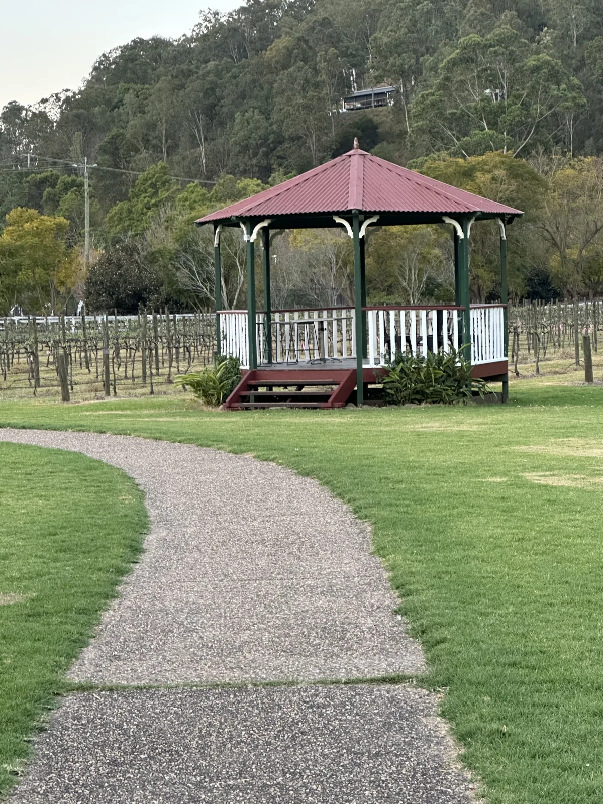 O’Reilly’s Canungra Valley Vibeyards community photo 8 — image 8