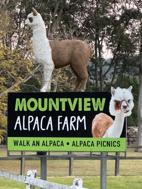 Featured image for Mountain View Alpaca Farm