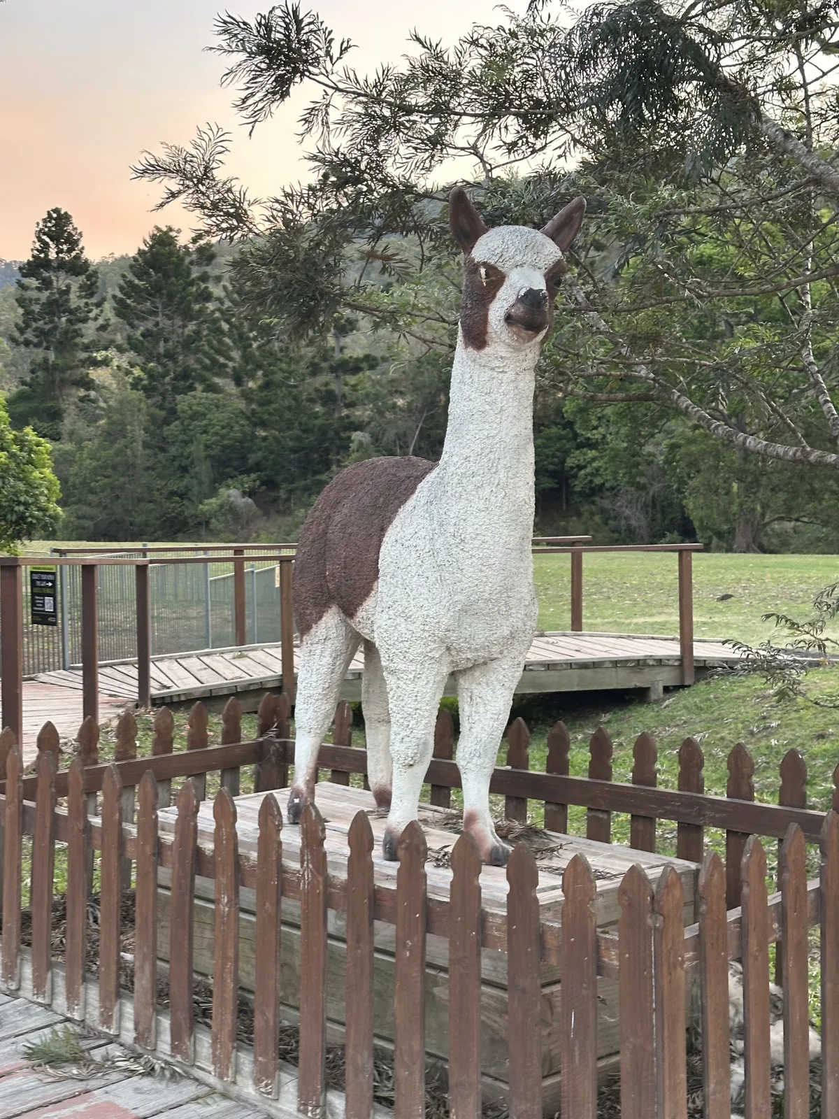 Mountain View Alpaca Farm community photo 2 — image 2