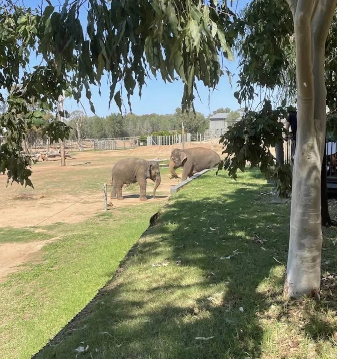 Taronga Western Plains Dubbo Zoo community photo 7 — image 7