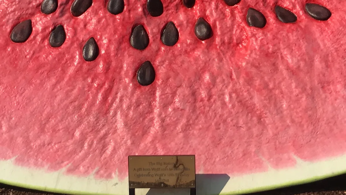 The Big Melon community photo 2 — image 2