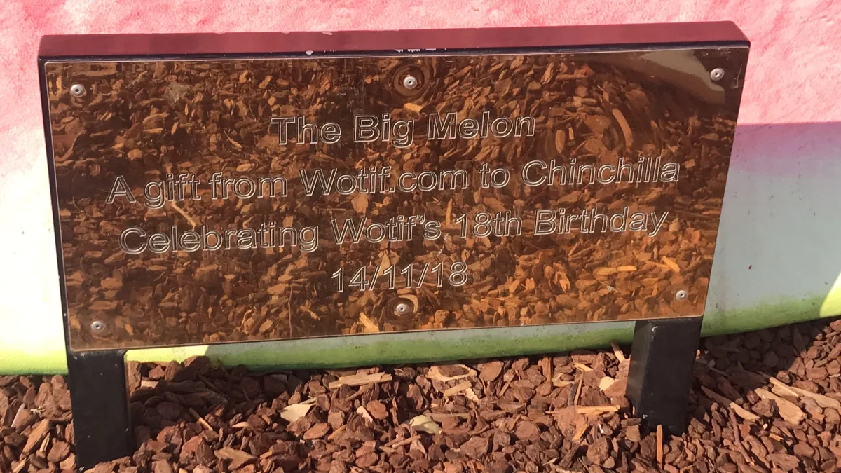 The Big Melon community photo 4 — image 4
