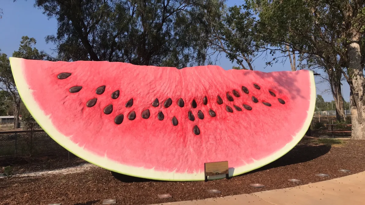 The Big Melon community photo 5 — image 5