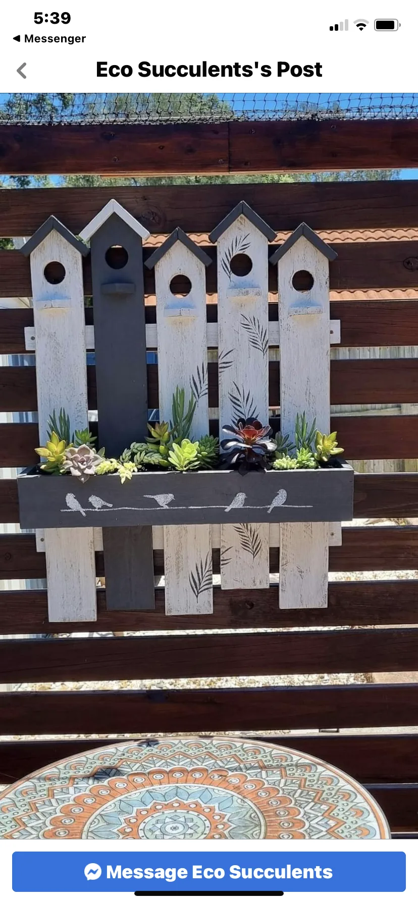 Sherry’s Garden Nook & Eco Succulents community photo 2 — image 2