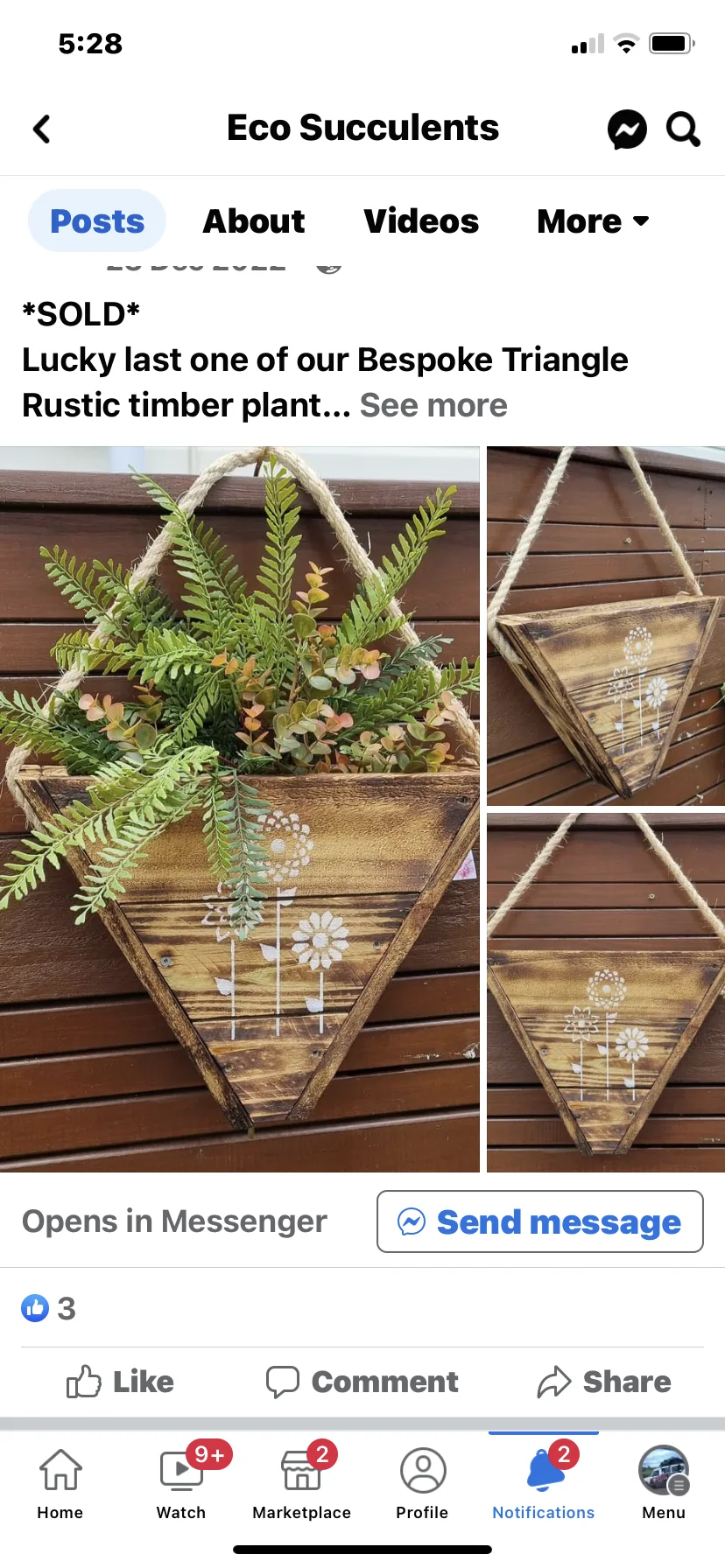 Sherry’s Garden Nook & Eco Succulents community photo 3 — image 3