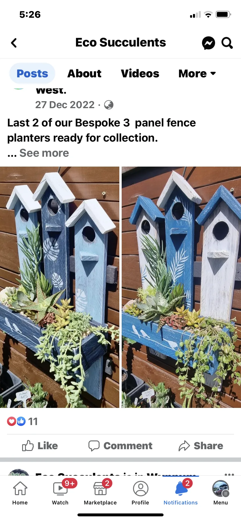 Sherry’s Garden Nook & Eco Succulents community photo 4 — image 4