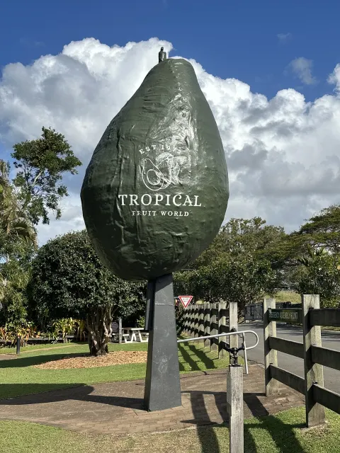 Featured image for Tropical Fruit World