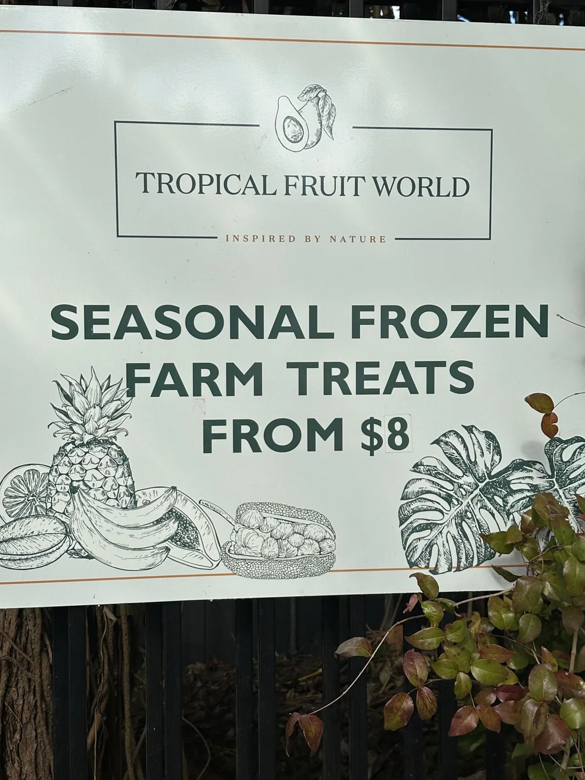 Photo 4 of Tropical Fruit World