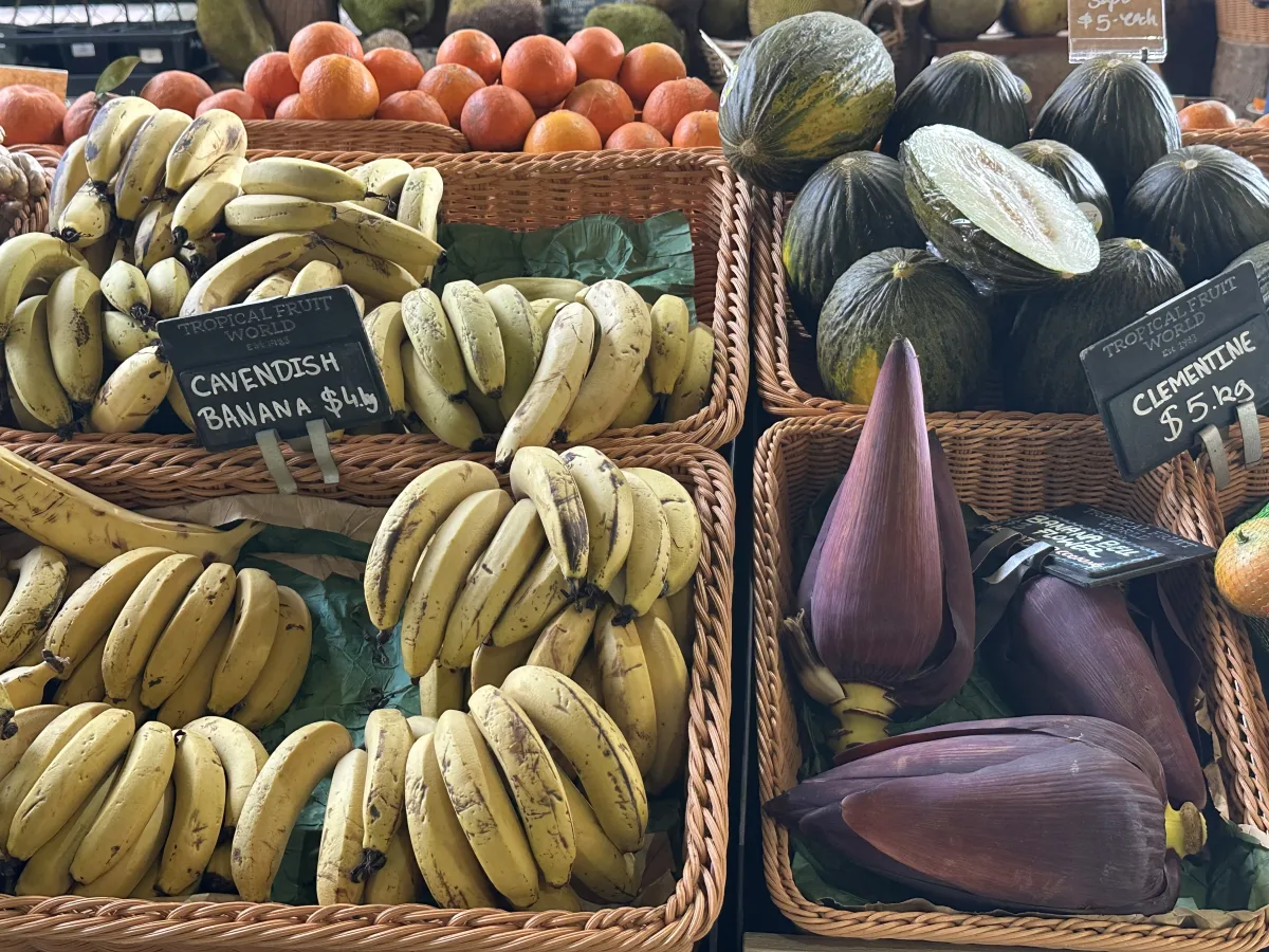 Photo 8 of Tropical Fruit World