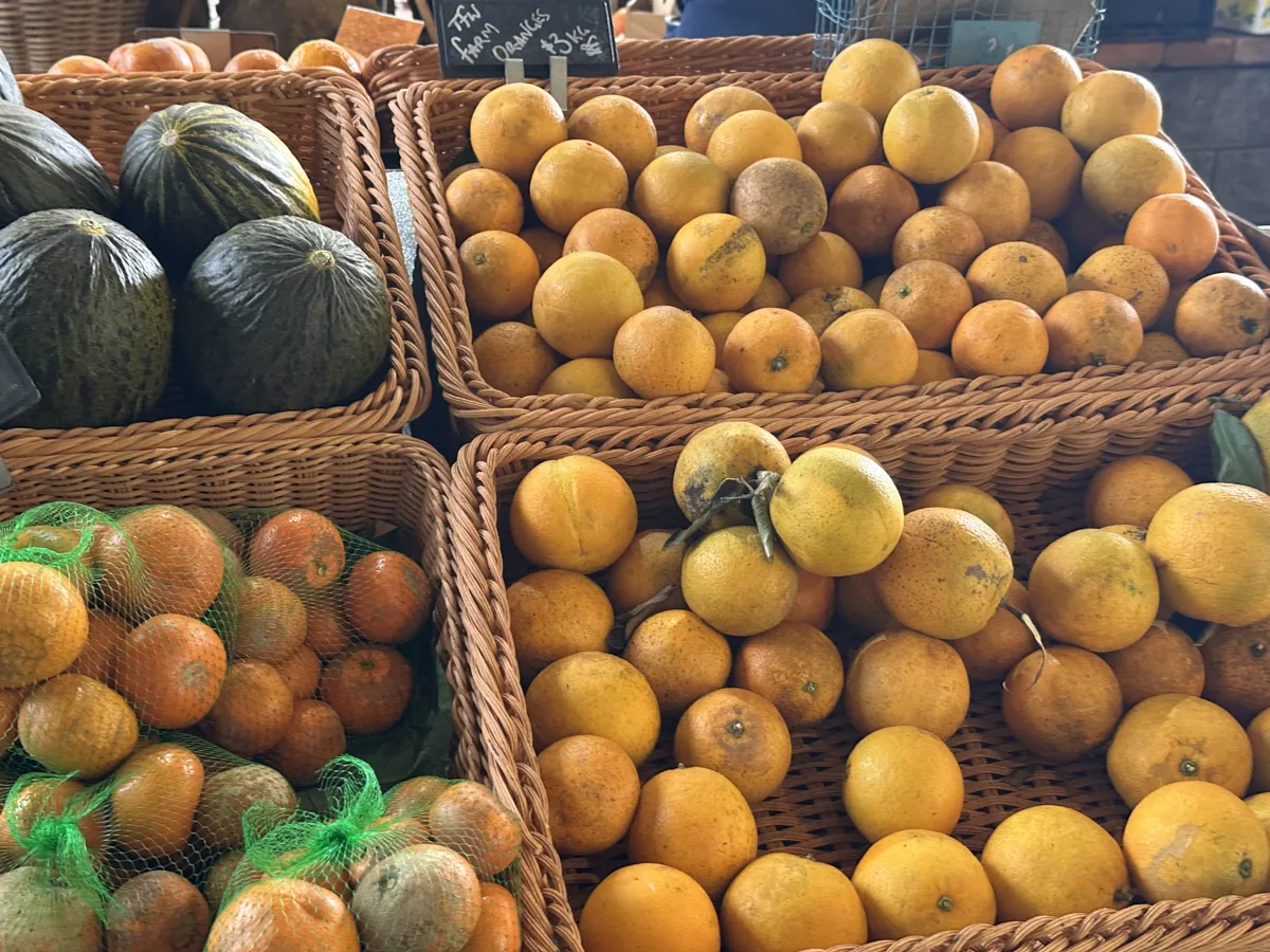 Photo 9 of Tropical Fruit World