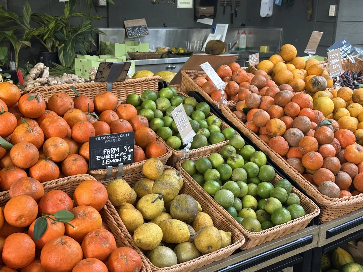 Photo 10 of Tropical Fruit World