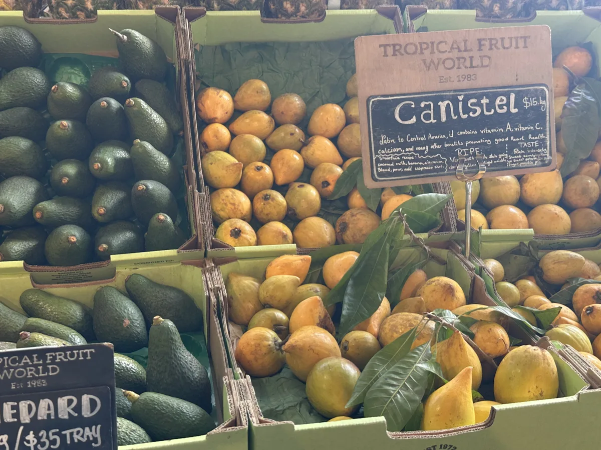 Photo 11 of Tropical Fruit World