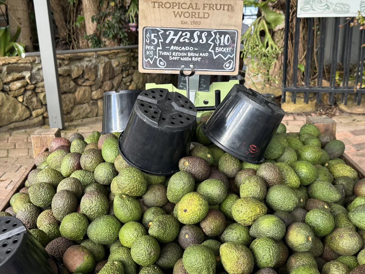 Photo 12 of Tropical Fruit World