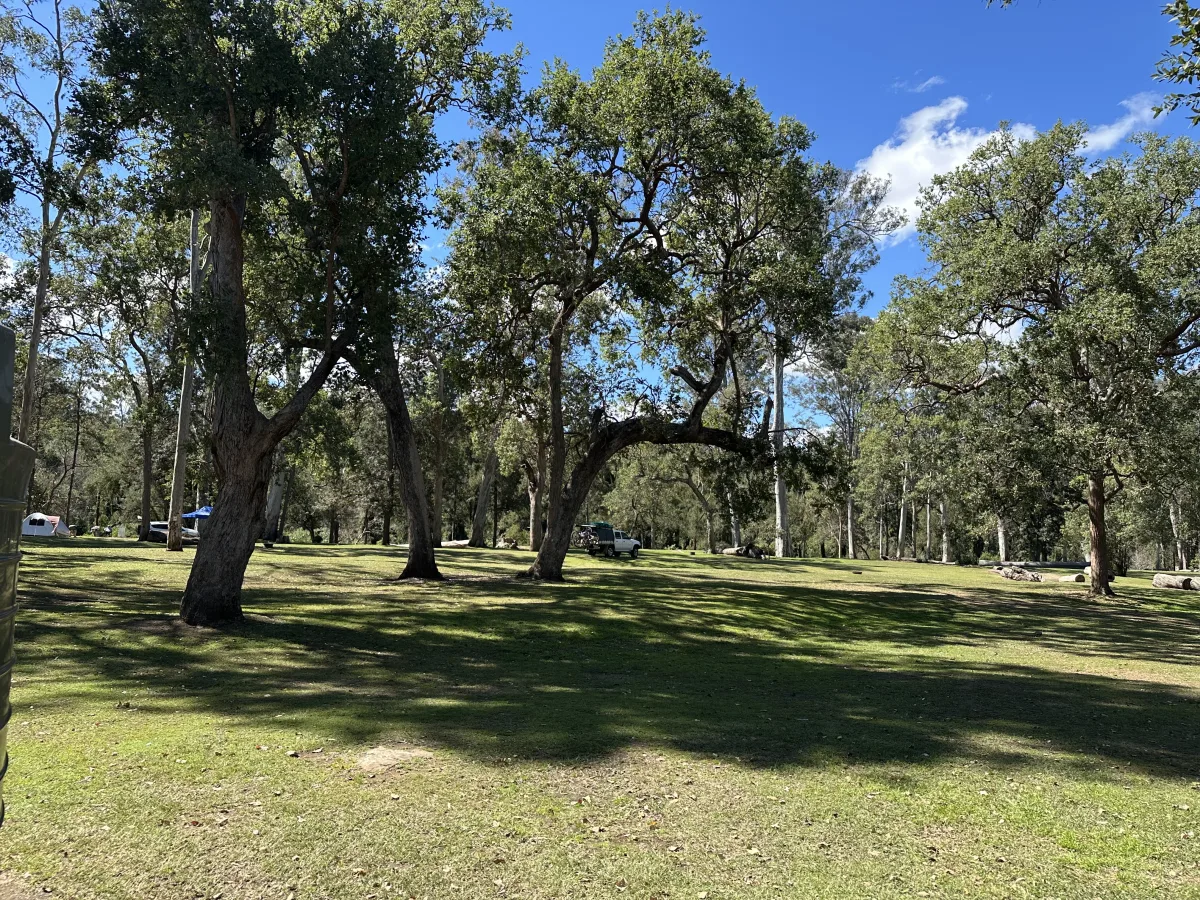 Photo 6 of Bigriggen Camping & Caravan Park