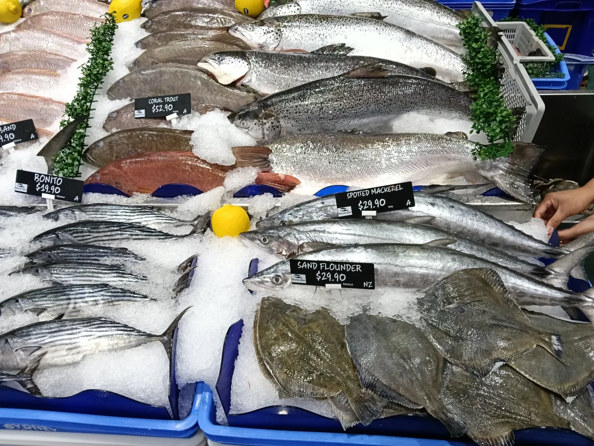 Photo 2 of Tasman Star Seafoods - Burleigh Heads