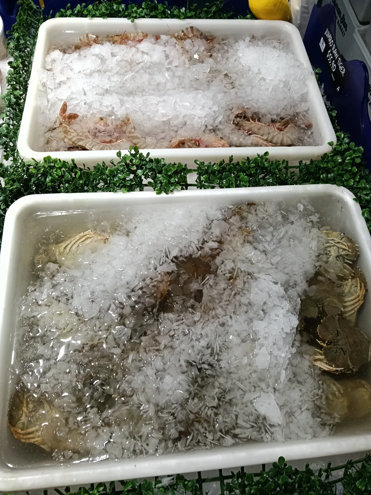 Photo 5 of Tasman Star Seafoods - Burleigh Heads