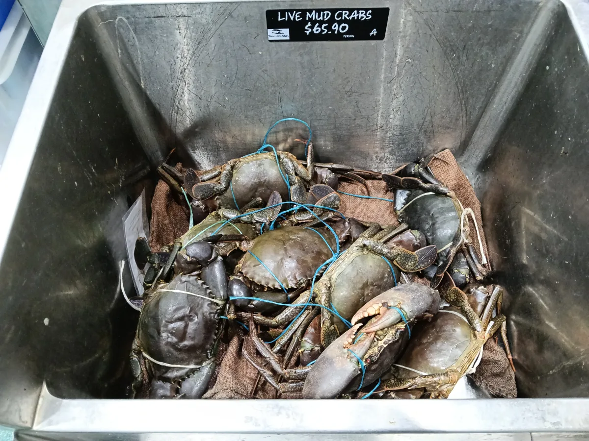 Photo 12 of Tasman Star Seafoods - Burleigh Heads