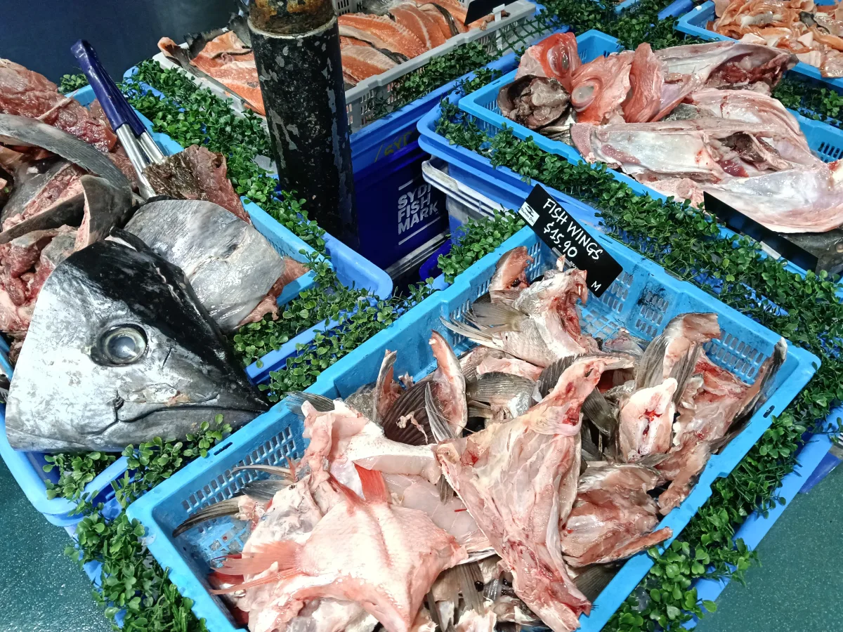 Photo 16 of Tasman Star Seafoods - Burleigh Heads