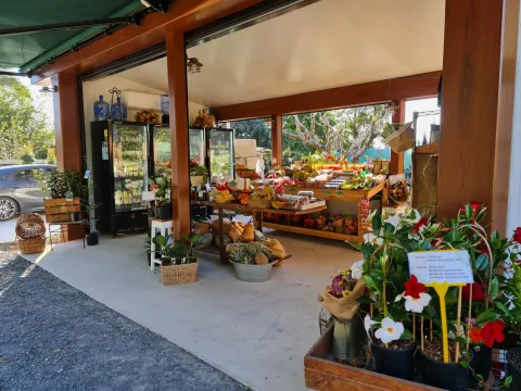 Featured image for Green Haven Stall