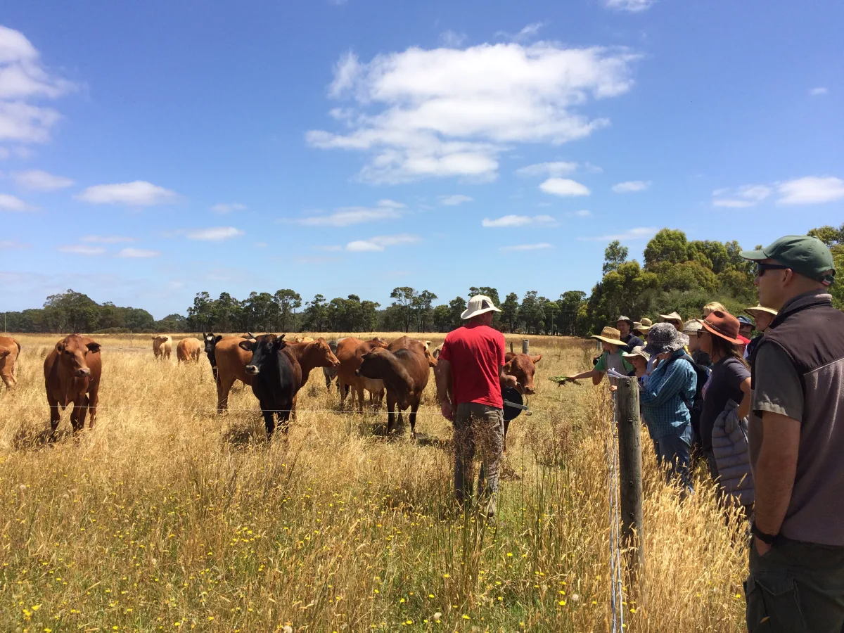 touring a working farm — image 5
