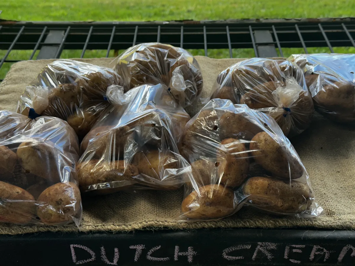 Photo 11 of The Green Shed