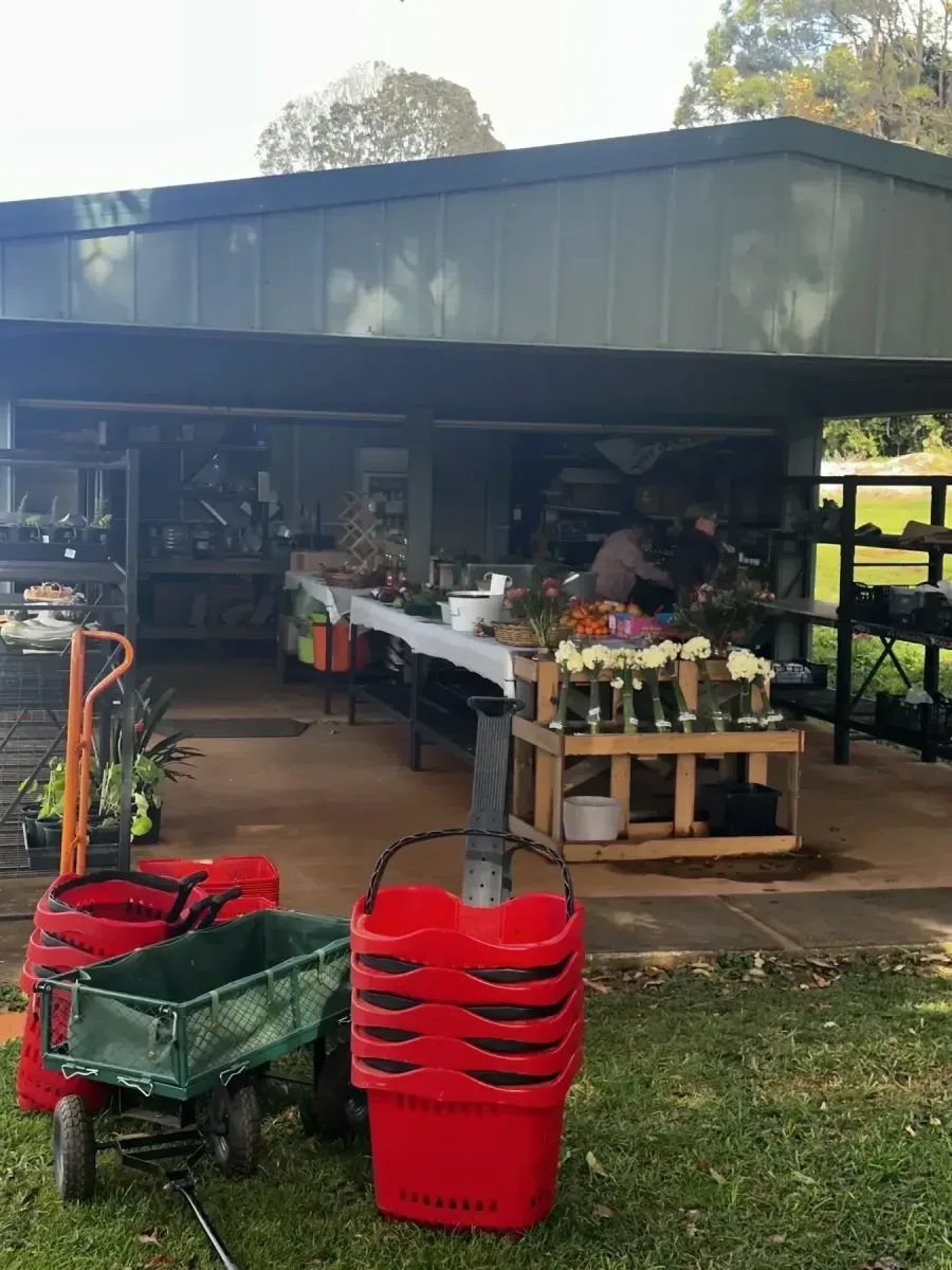 The Green Shed featured photo