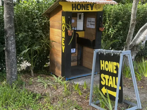 Featured image for Tamborine Creek Honey