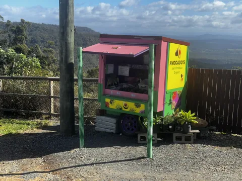 Featured image for Avocado Stall - organic