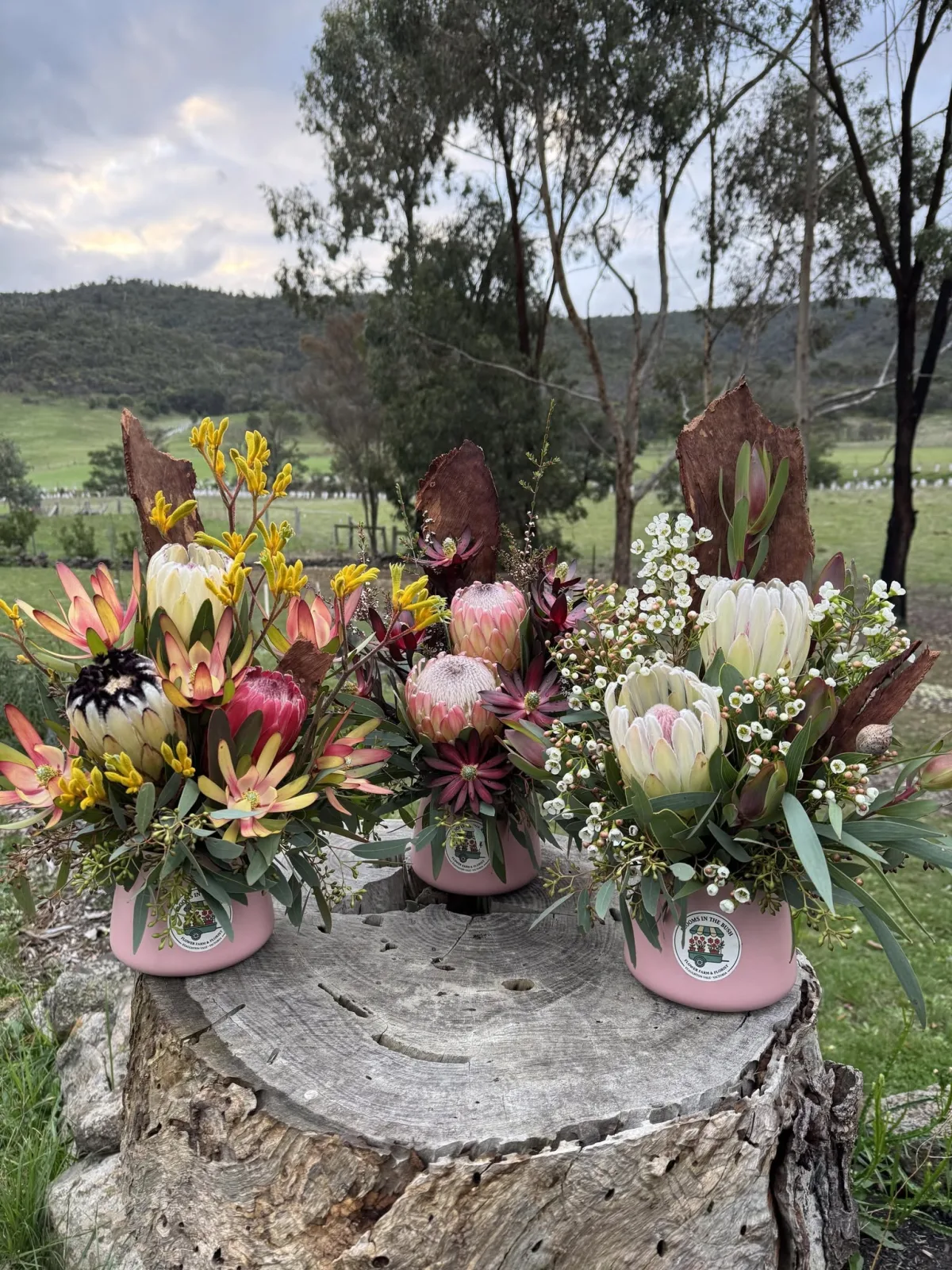 Photo 6 of Blooms in the Bush - Flower Farm & Florist