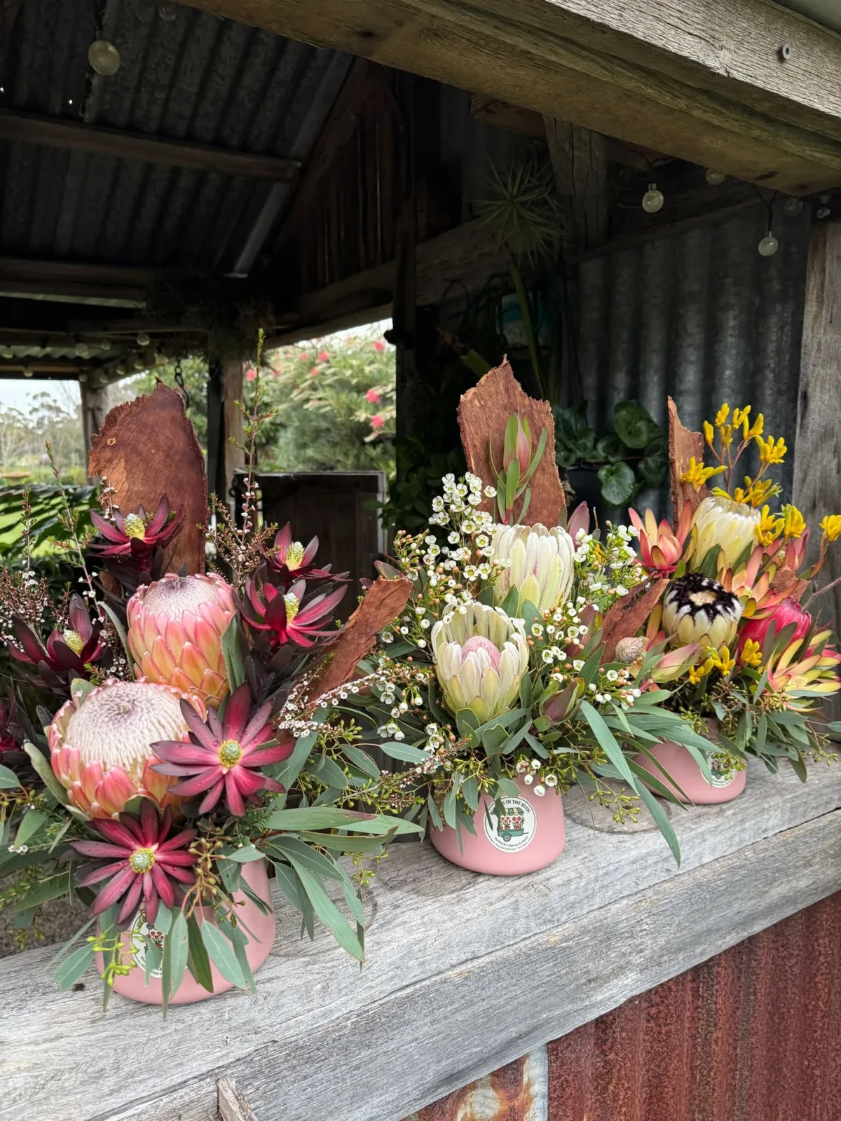 Photo 7 of Blooms in the Bush - Flower Farm & Florist