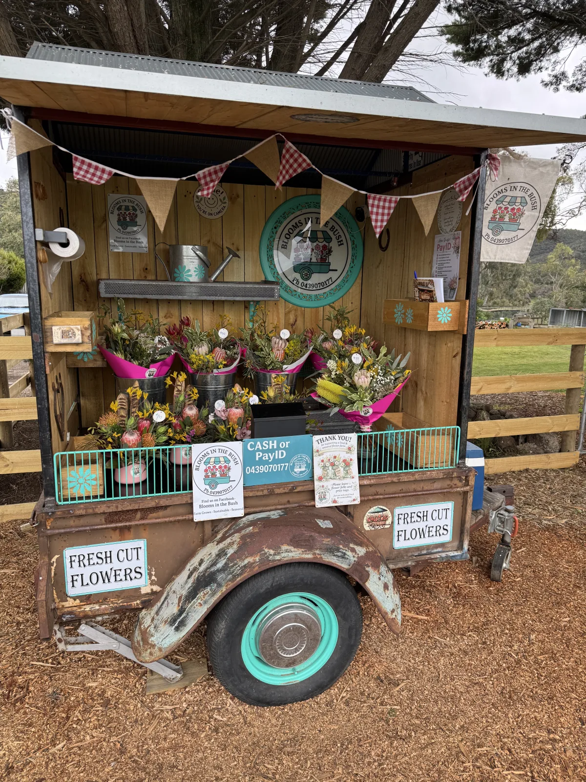 Photo 9 of Blooms in the Bush - Flower Farm & Florist