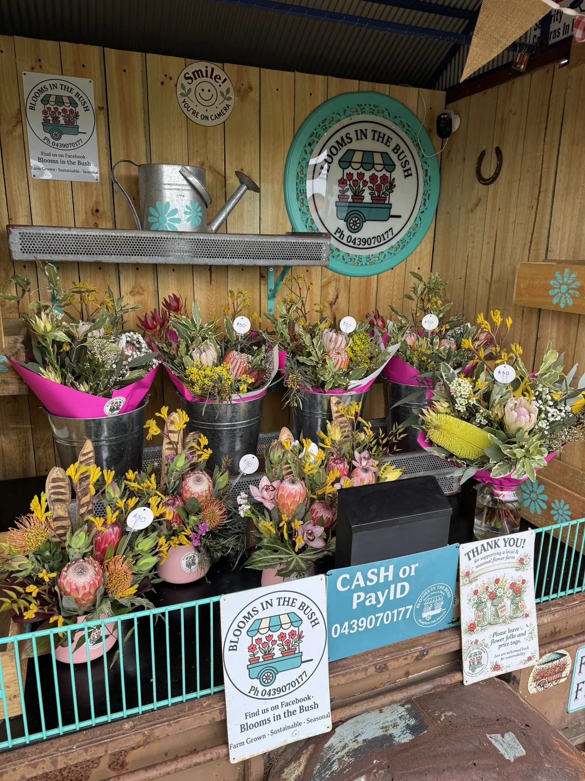 Photo 10 of Blooms in the Bush - Flower Farm & Florist
