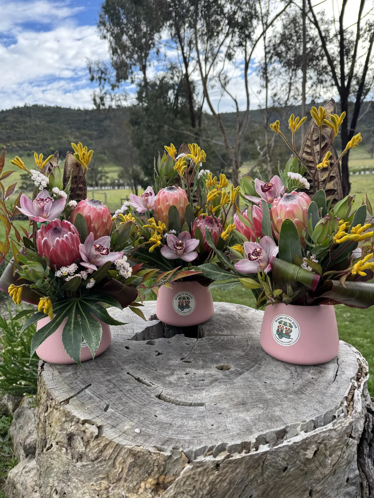 Photo 17 of Blooms in the Bush - Flower Farm & Florist