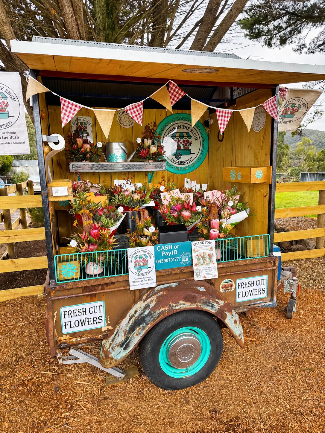 Photo 23 of Blooms in the Bush - Flower Farm & Florist