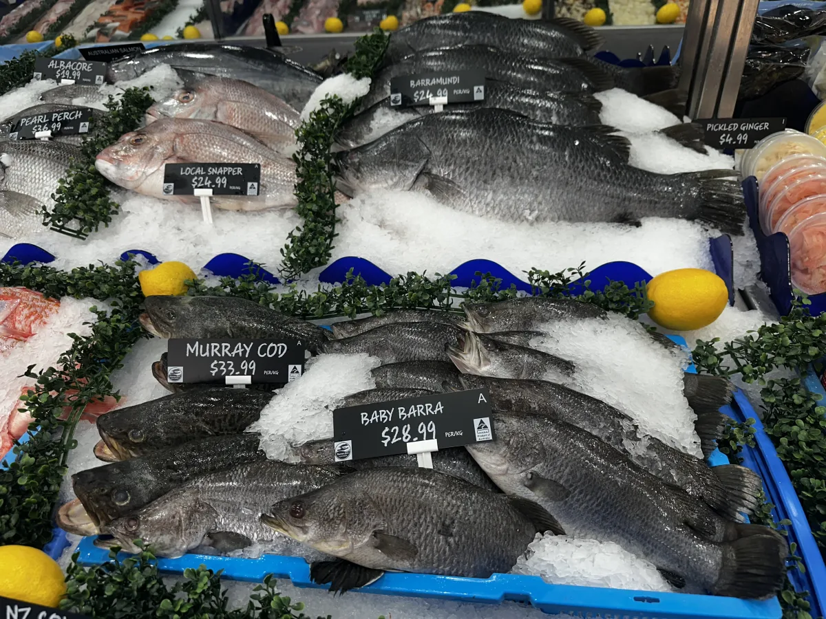 Photo 2 of Tasman Star Seafood Market
