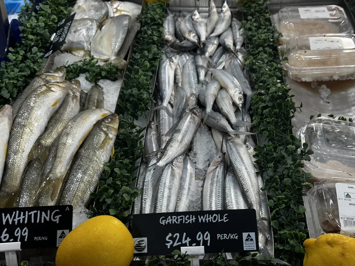 Photo 10 of Tasman Star Seafood Market