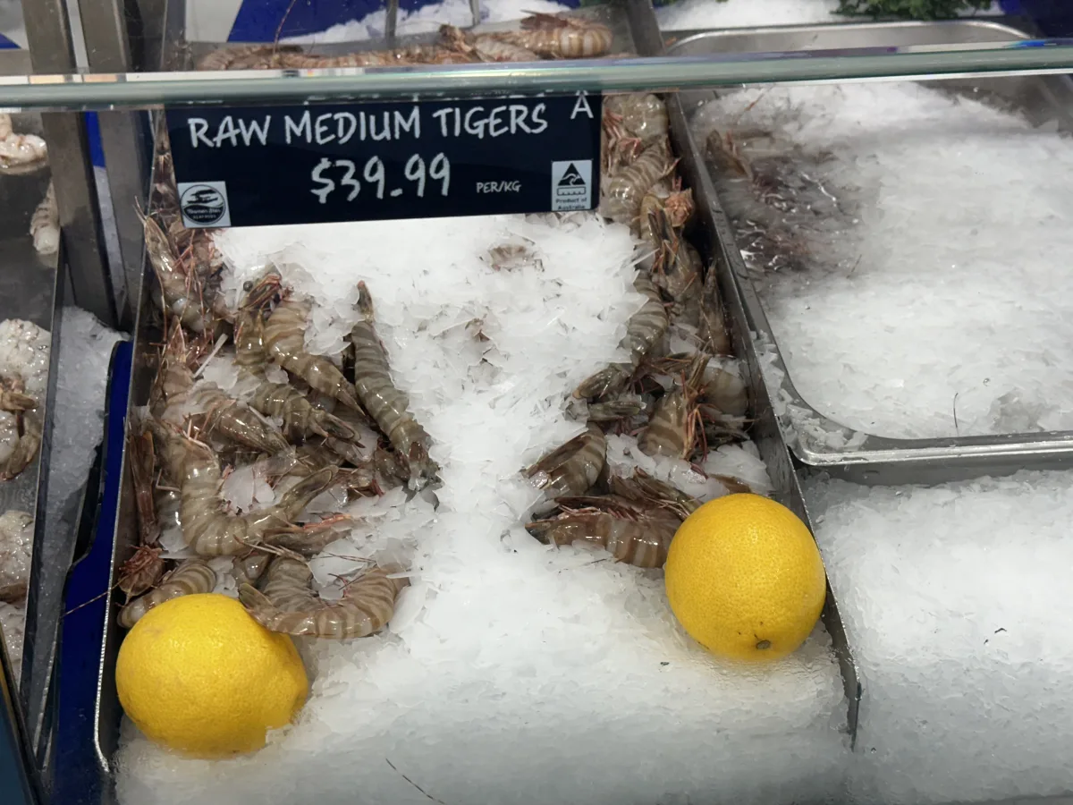 Photo 12 of Tasman Star Seafood Market